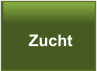 Zucht