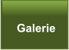 Galerie